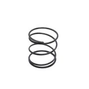 PT710-P13 Пружина (700202)